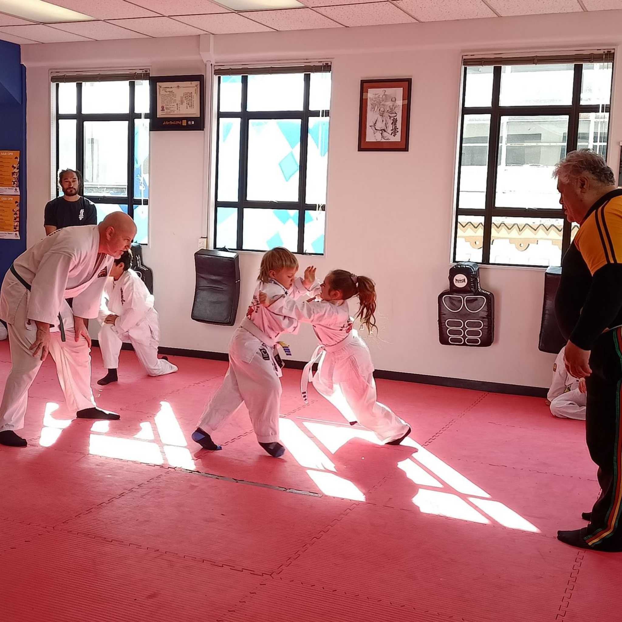 Kids Karate (3-9)