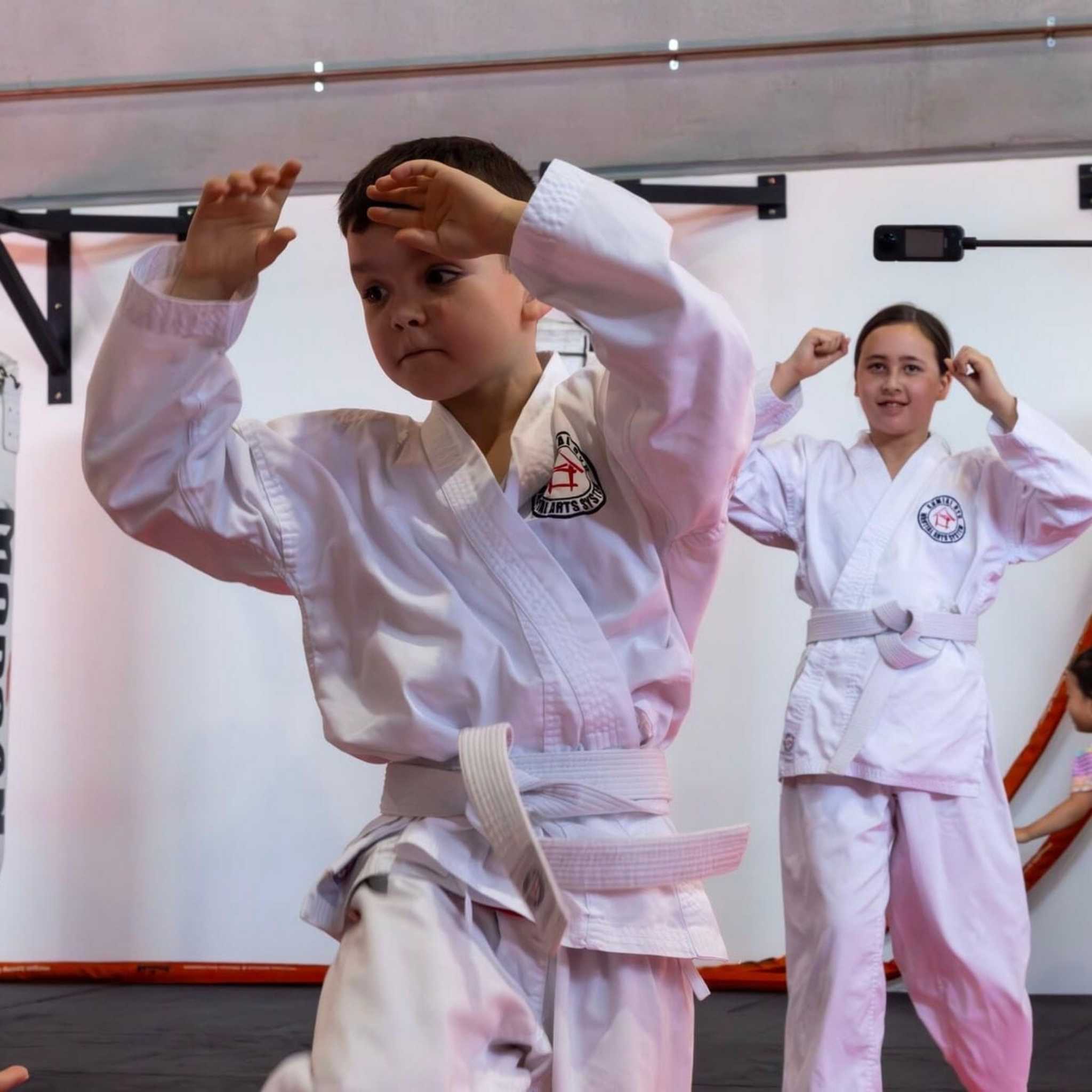 The Perfect First Martial Arts Program for Young Children