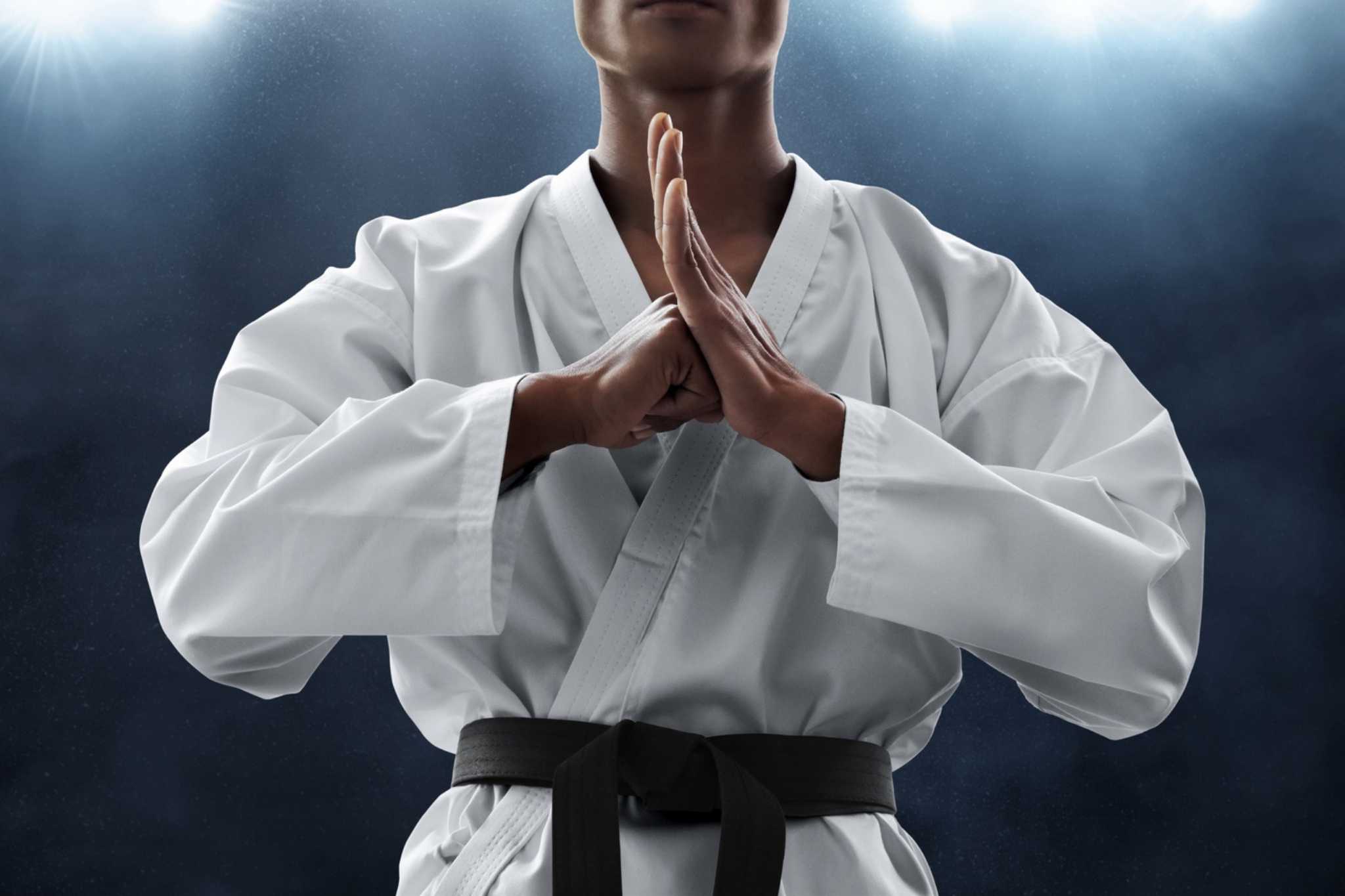 The Martial Arts Advantage
